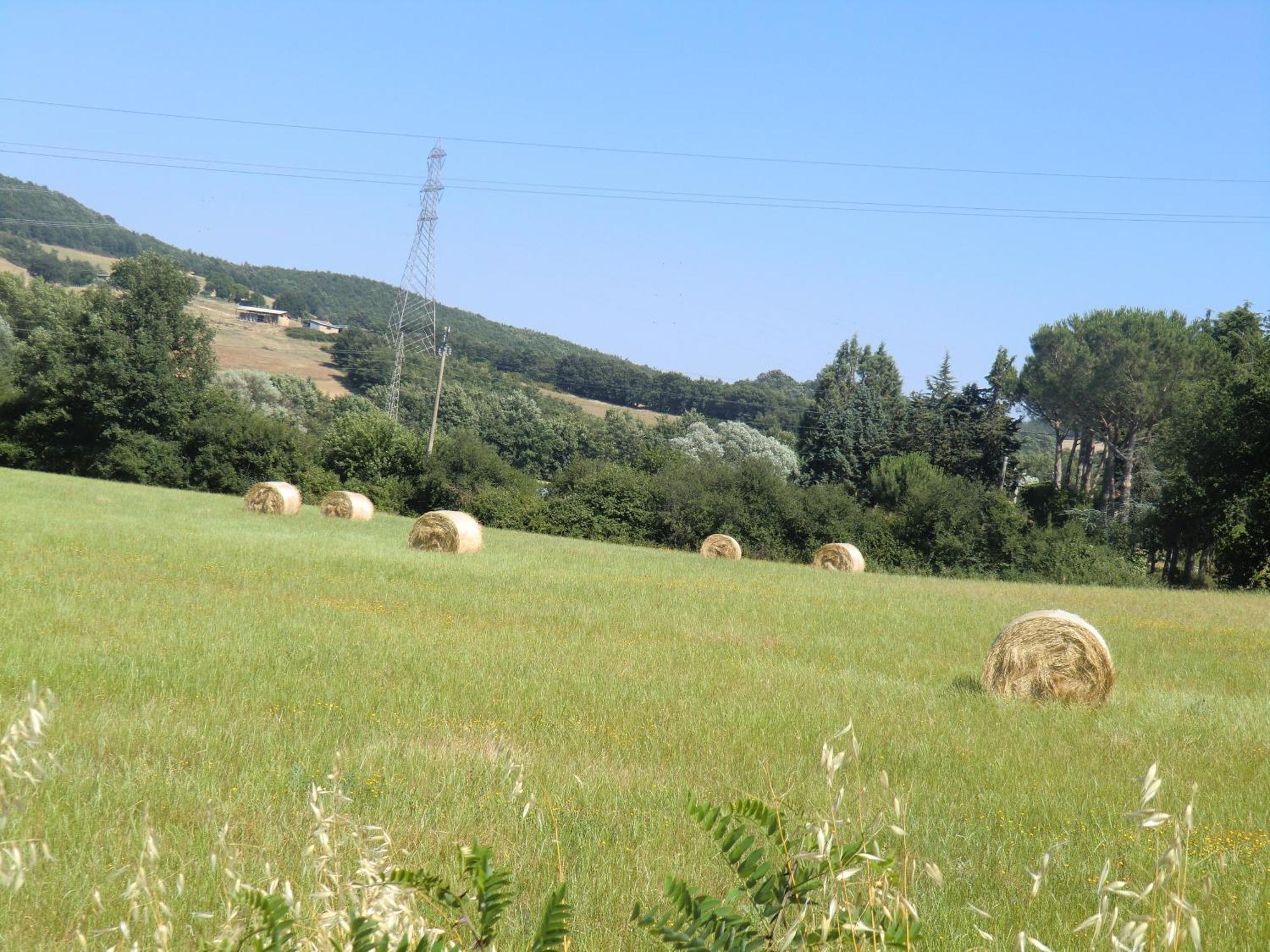 Agriturismo Cavallin Del Bufalo Manciano Exterior photo